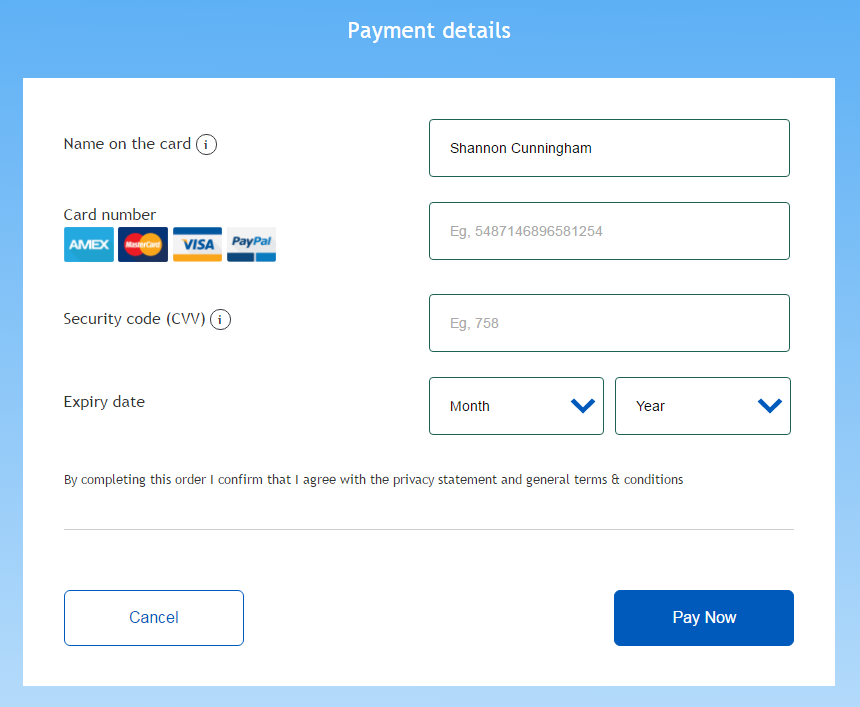 Customized Hosted Payment page example 2